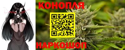 каннабис Новокубанск