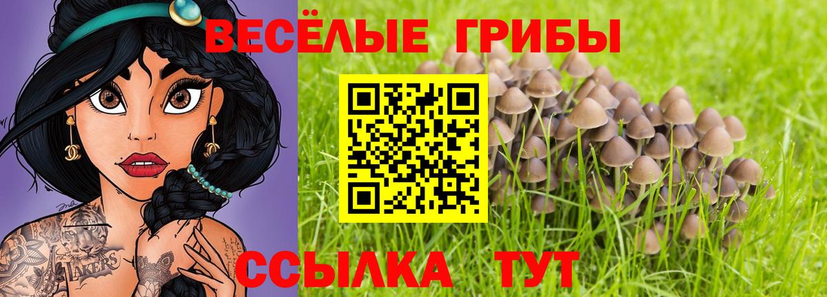 Мончегорск  Псилоцибиновые грибы Magic Shrooms  Вход с VPN 