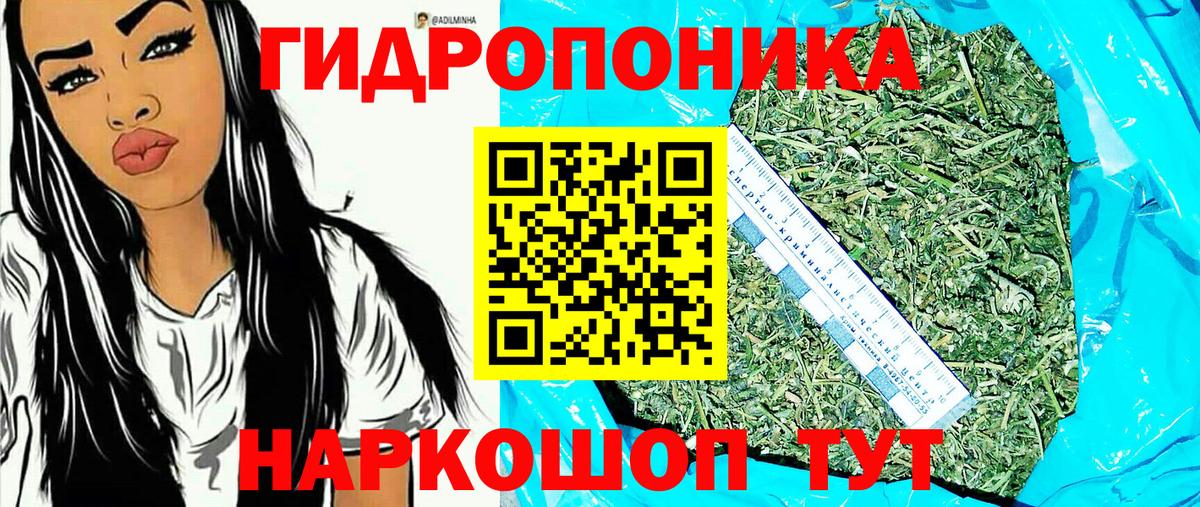 Канабис Ganja  Вход с VPN  Бошки марихуана гибрид  Мончегорск  Конопля OG Kush 